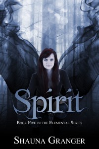 SPIRIT-large