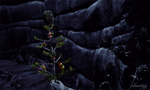 tumblr_mtvgm3vqtq1sjnl71o1_500